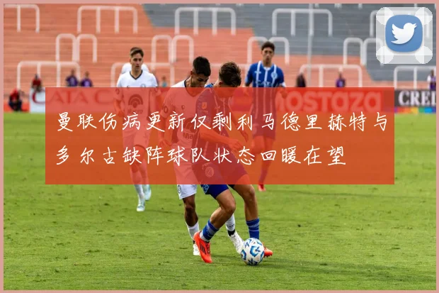 曼联伤病更新仅剩利马德里赫特与多尔古缺阵球队状态回暖在望