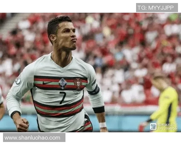 全球足球巨星的精彩人生与辉煌成就全景介绍