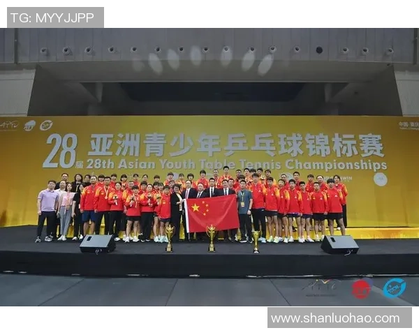 乒乓球精神之旅:深入探讨武汉乒乓球队的心理素质与竞技表现 乒乓球精神之旅:深入探讨武汉乒乓球队的心理素质与竞技表现