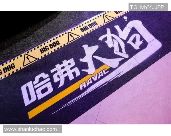 足球明星认证抖音引领潮流助力年轻人追逐梦想的全新平台