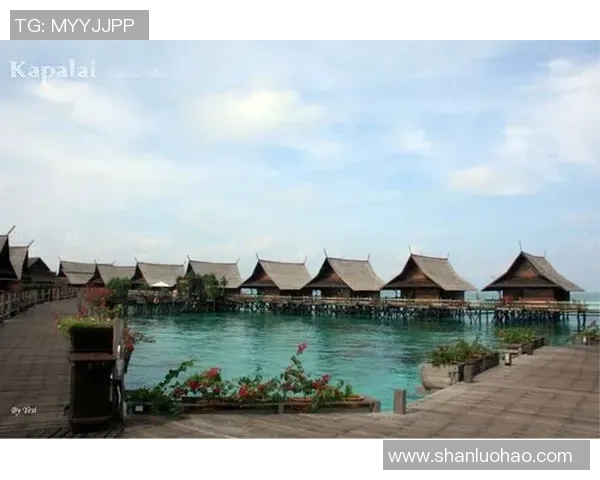 在沙滩上追逐梦想的热血青春沙滩足球电影之旅