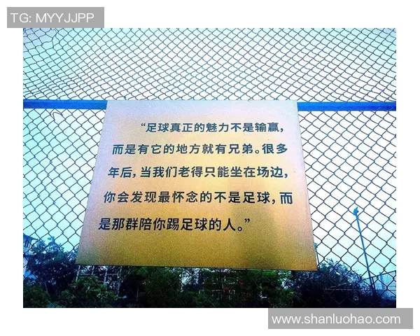 足球313：探索足球的魅力与激情，带你领略赛场上的精彩瞬间与传奇故事