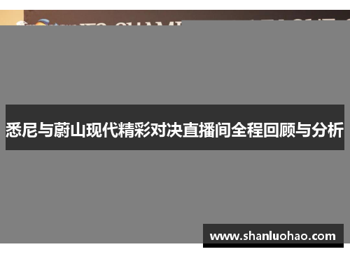 悉尼与蔚山现代精彩对决直播间全程回顾与分析