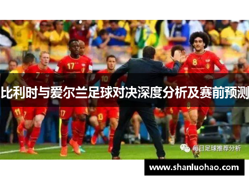 比利时与爱尔兰足球对决深度分析及赛前预测