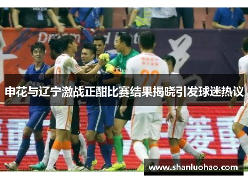 申花与辽宁激战正酣比赛结果揭晓引发球迷热议